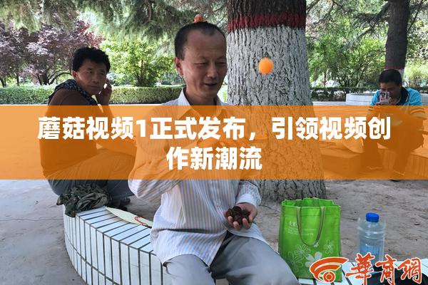 蘑菇视频1正式发布，引领视频创作新潮流
