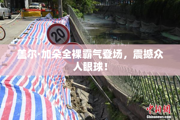 盖尔·加朵全裸霸气登场，震撼众人眼球！