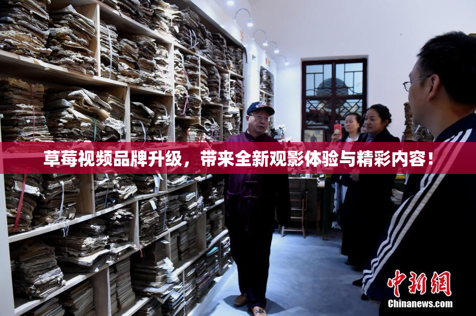 草莓视频品牌升级，带来全新观影体验与精彩内容！