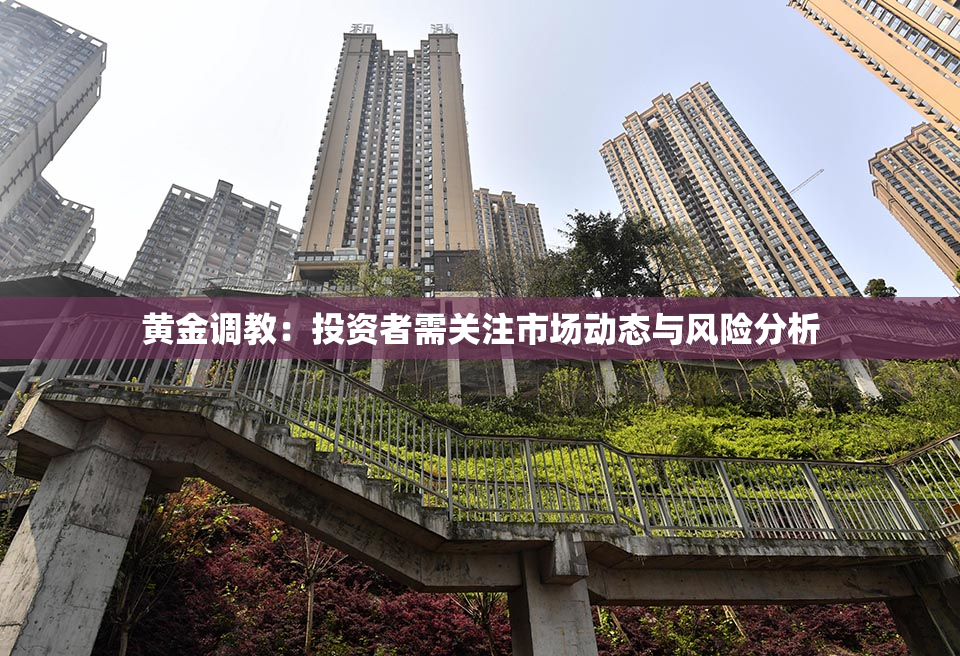 黄金调教：投资者需关注市场动态与风险分析