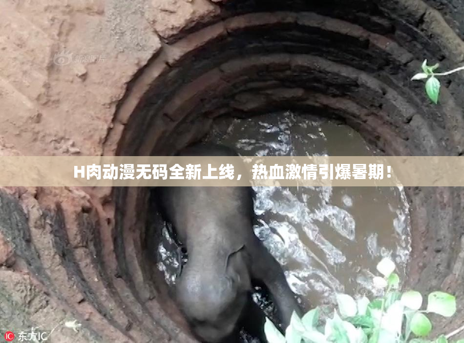 H肉动漫无码全新上线，热血激情引爆暑期！