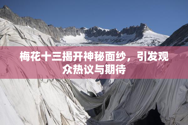 梅花十三揭开神秘面纱，引发观众热议与期待