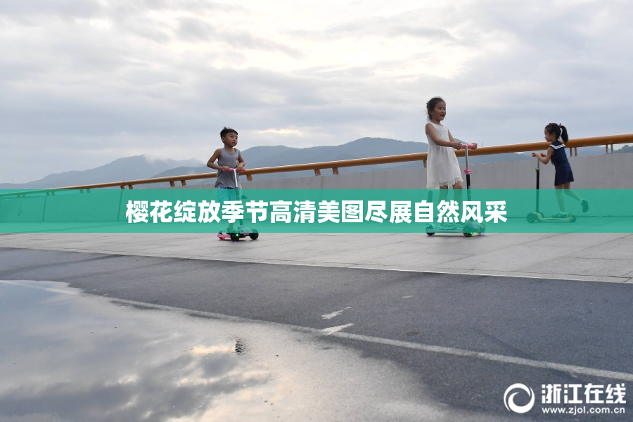 樱花绽放季节高清美图尽展自然风采