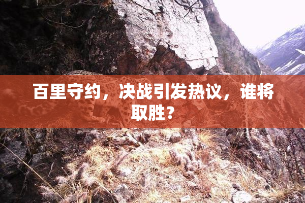 百里守约，决战引发热议，谁将取胜？
