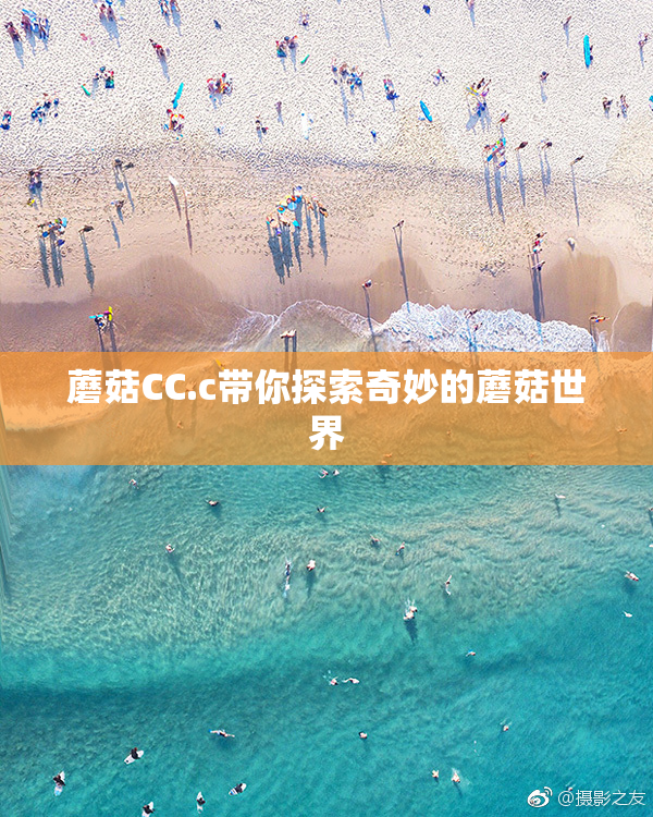 蘑菇CC.c带你探索奇妙的蘑菇世界