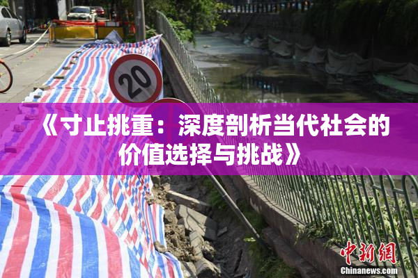 《寸止挑重：深度剖析当代社会的价值选择与挑战》