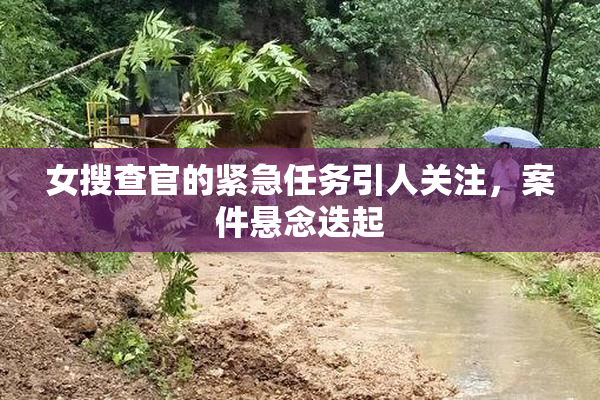 女搜查官的紧急任务引人关注，案件悬念迭起