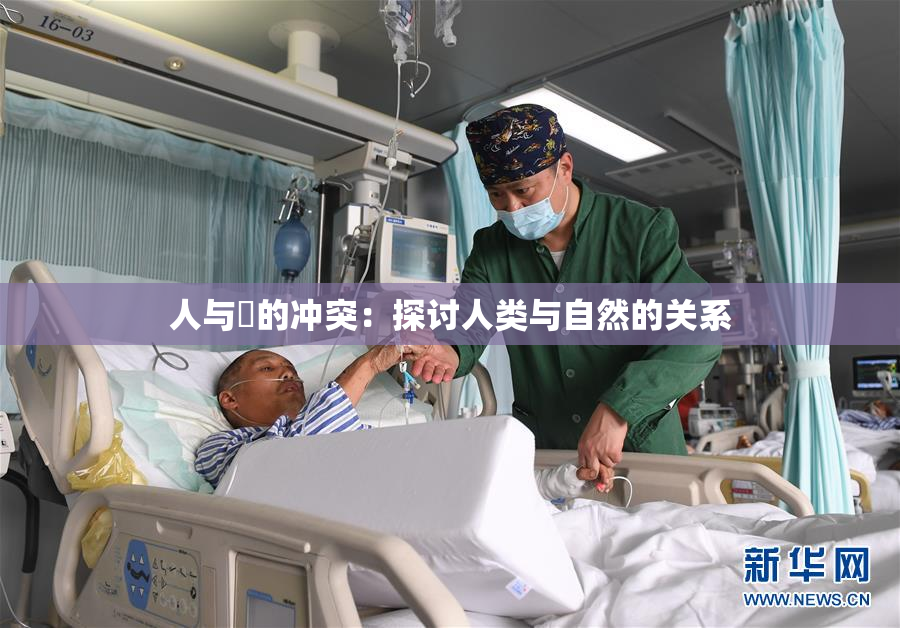 人与嘼的冲突：探讨人类与自然的关系