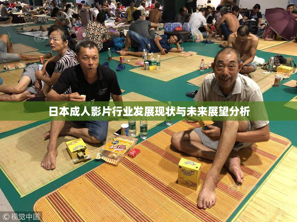 日本成人影片行业发展现状与未来展望分析