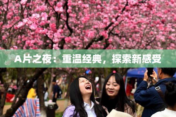 A片之夜：重温经典，探索新感受