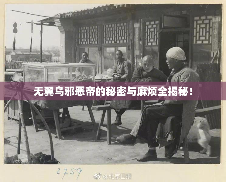 无翼乌邪恶帝的秘密与麻烦全揭秘！