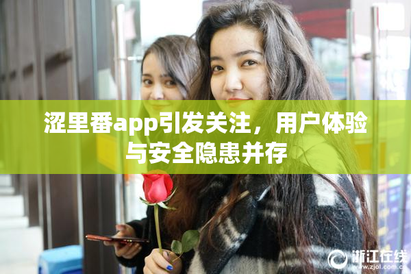 涩里番app引发关注，用户体验与安全隐患并存