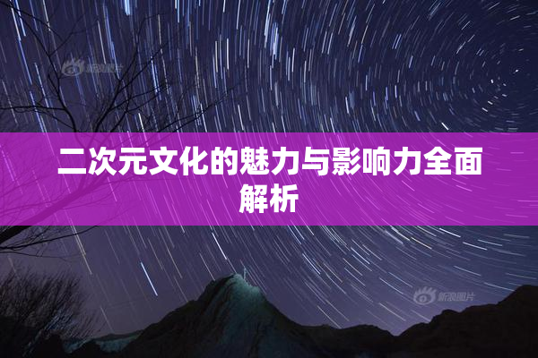 二次元文化的魅力与影响力全面解析
