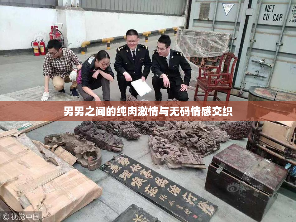 男男之间的纯肉激情与无码情感交织