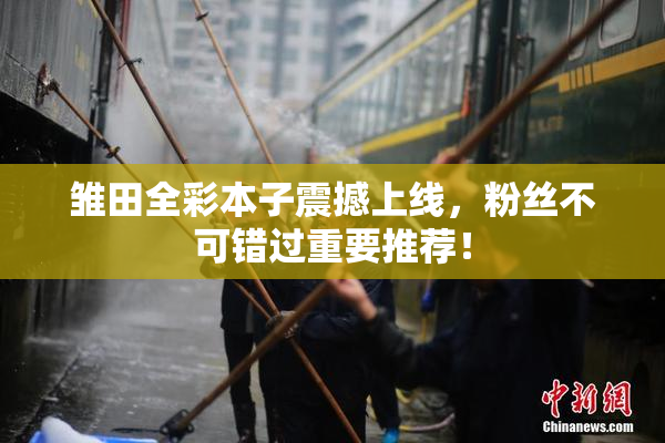 雏田全彩本子震撼上线，粉丝不可错过重要推荐！