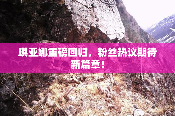 琪亚娜重磅回归，粉丝热议期待新篇章！