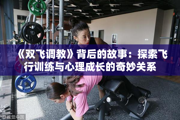 《双飞调教》背后的故事：探索飞行训练与心理成长的奇妙关系