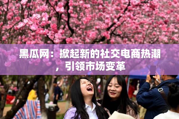 黑瓜网：掀起新的社交电商热潮，引领市场变革