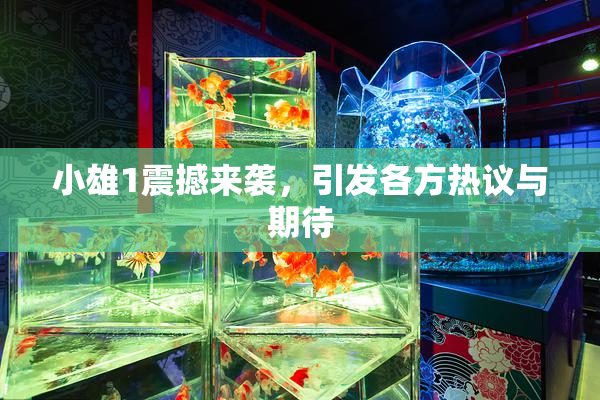 小雄1震撼来袭，引发各方热议与期待