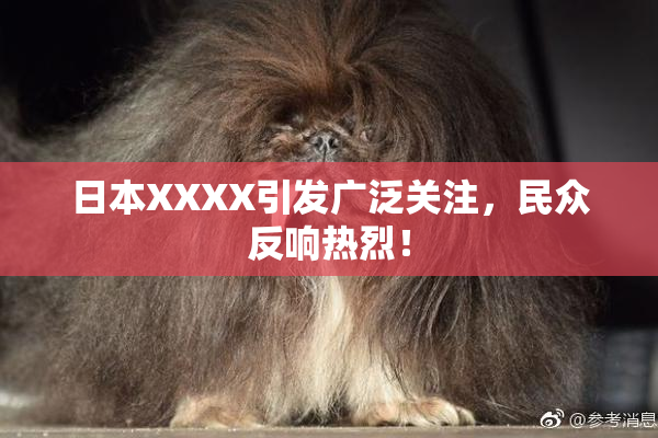 日本XXXX引发广泛关注，民众反响热烈！