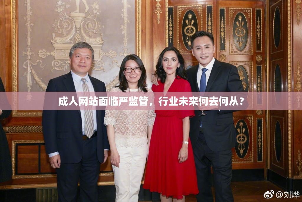 成人网站面临严监管，行业未来何去何从？