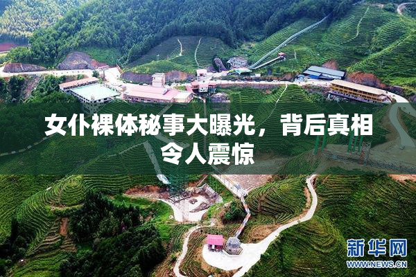 女仆裸体秘事大曝光，背后真相令人震惊