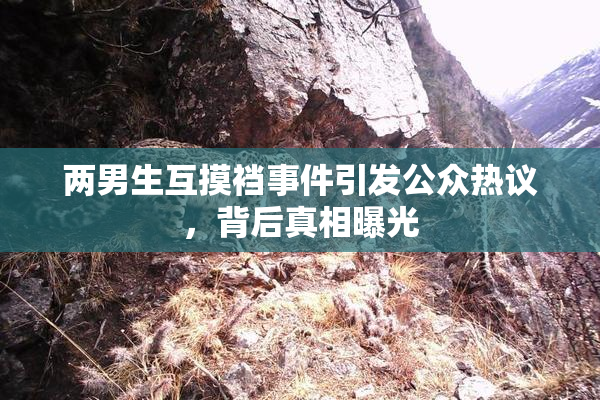 两男生互摸裆事件引发公众热议，背后真相曝光
