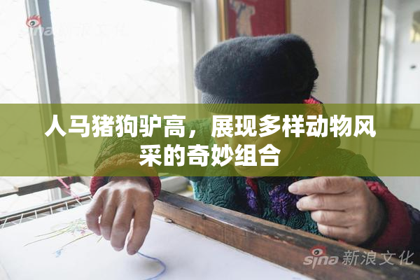 人马猪狗驴高，展现多样动物风采的奇妙组合
