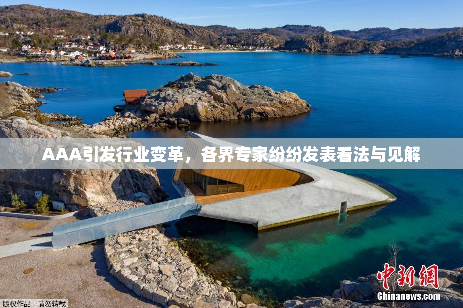 AAA引发行业变革，各界专家纷纷发表看法与见解
