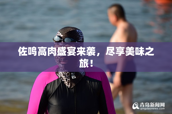佐鸣高肉盛宴来袭，尽享美味之旅！
