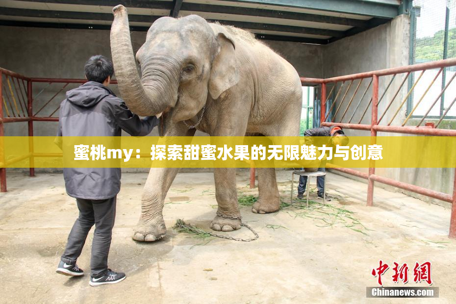 蜜桃my：探索甜蜜水果的无限魅力与创意