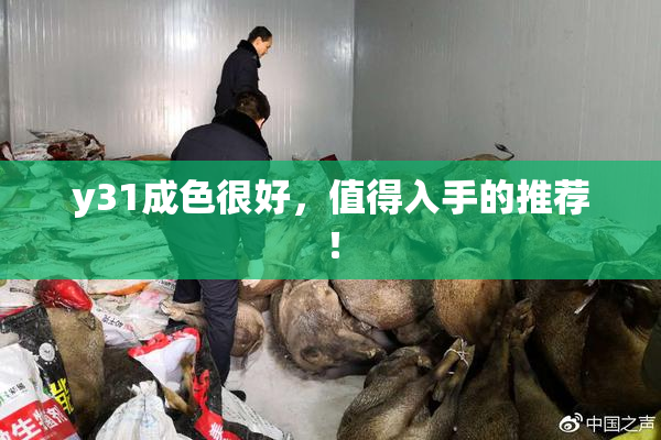 y31成色很好，值得入手的推荐！