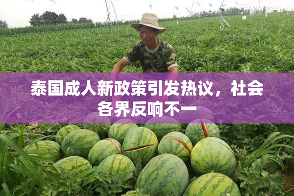 泰国成人新政策引发热议，社会各界反响不一