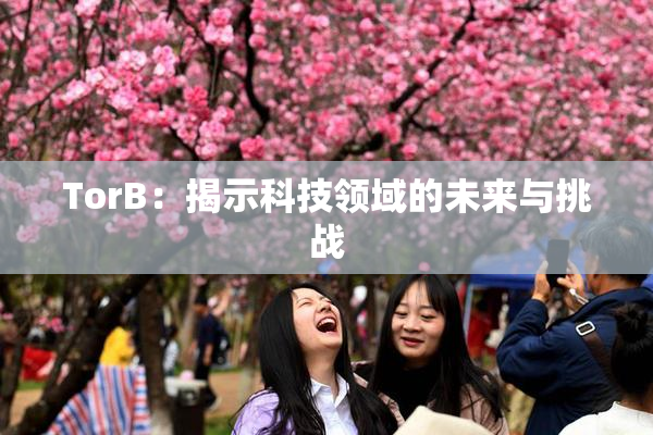TorB：揭示科技领域的未来与挑战