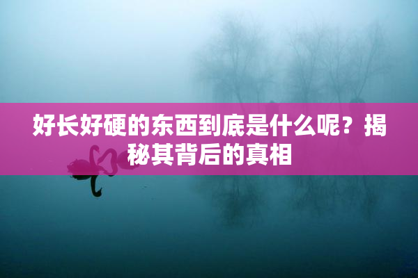 好长好硬的东西到底是什么呢？揭秘其背后的真相