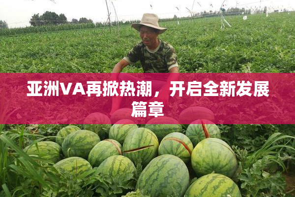 亚洲VA再掀热潮，开启全新发展篇章