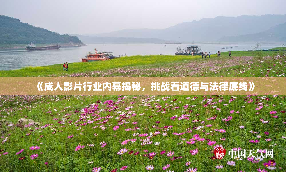 《成人影片行业内幕揭秘，挑战着道德与法律底线》