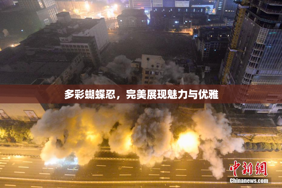 多彩蝴蝶忍，完美展现魅力与优雅