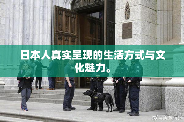 日本人真实呈现的生活方式与文化魅力。