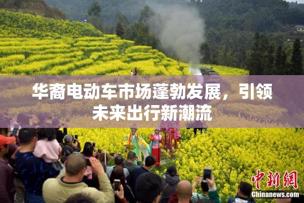 华裔电动车市场蓬勃发展，引领未来出行新潮流
