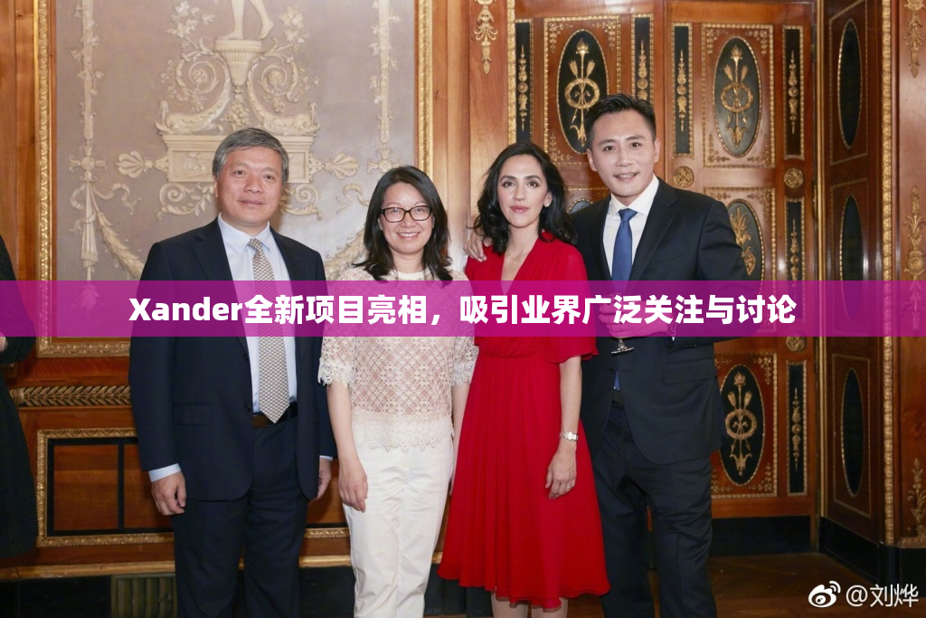 Xander全新项目亮相，吸引业界广泛关注与讨论