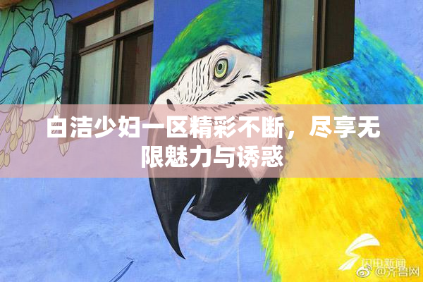 白洁少妇一区精彩不断，尽享无限魅力与诱惑