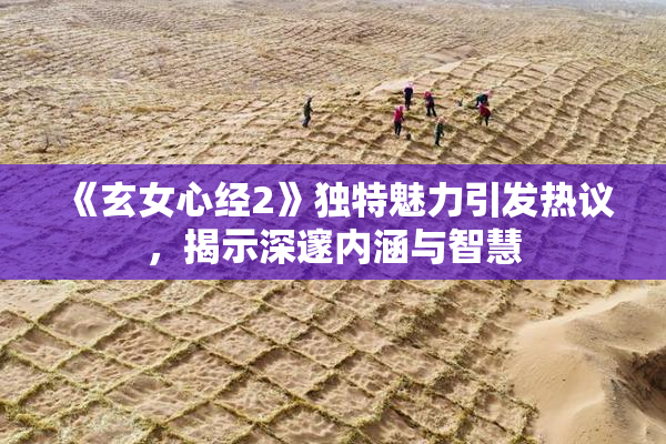 《玄女心经2》独特魅力引发热议，揭示深邃内涵与智慧