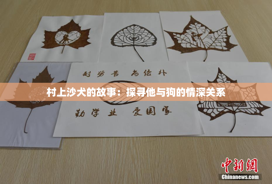 村上沙犬的故事：探寻他与狗的情深关系