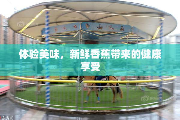 体验美味，新鲜香蕉带来的健康享受
