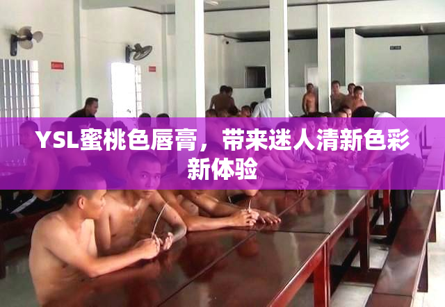 YSL蜜桃色唇膏，带来迷人清新色彩新体验