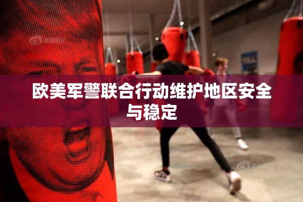 欧美军警联合行动维护地区安全与稳定