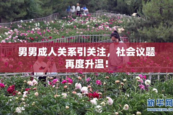 男男成人关系引关注，社会议题再度升温！
