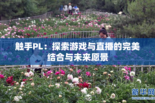 触手PL：探索游戏与直播的完美结合与未来愿景