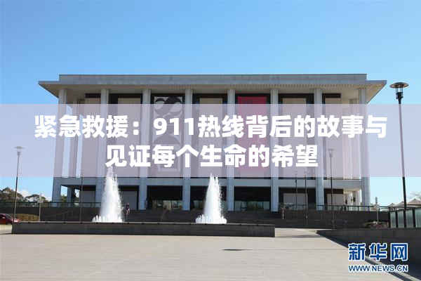 紧急救援：911热线背后的故事与见证每个生命的希望